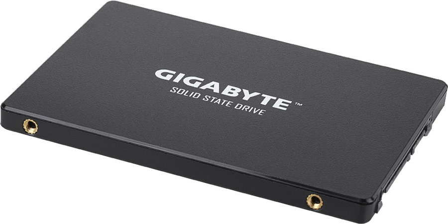 SSD Gigabyte 256GB GP-GSTFS31256GTND