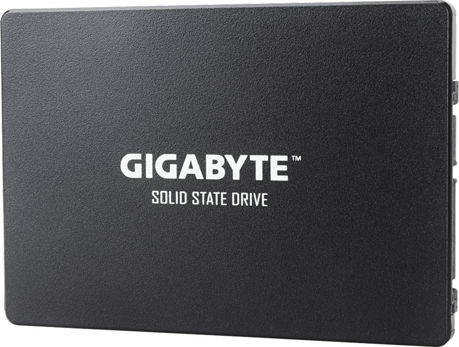 SSD Gigabyte 256GB GP-GSTFS31256GTND