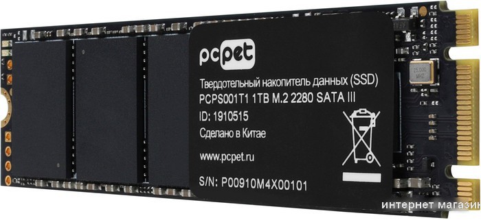 SSD PC Pet 1TB PCPS001T1