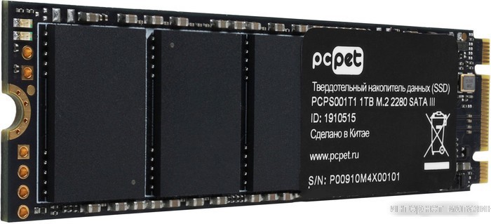 SSD PC Pet 1TB PCPS001T1