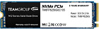 SSD Team MP33 256GB TM8FP6256G0C101